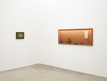 Erin Wright, Nearly natural, exhibition view. Courtesy of Maki Gallery
