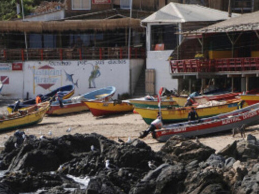 Los pescadores de la caleta de Quintay que viven, – como otras tantas caletas incrustadas en el flanco que afronta el Pacífico, Caleta Quintay, Chile