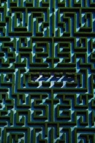 Il famoso labirinto in cui Jack Torrance trova la sua fine fu ricostruito dalla troupe di Kubrick presso gli MGM Studios di Borehamwood, in Inghilterra