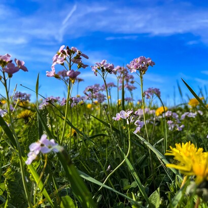 Un approccio terapeutico multidisciplinare, che integri trattamento medico, supporto psicologico e strategie di gestione dello stress, rappresenta la via più efficace per migliorare la qualità di vita dei pazienti