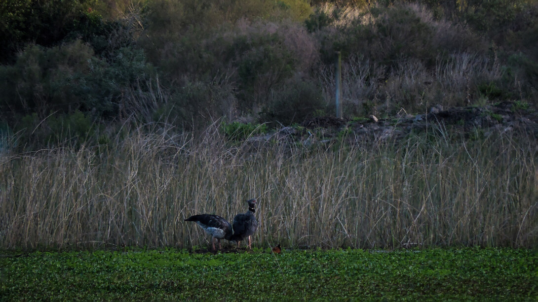 Villa Serrana, Uruguay, se presenta como un refugio donde el silencio y el tiempo lento permiten que la inspiración vuelva a aparecer