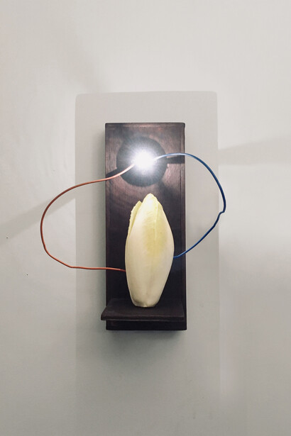 Grégoire Motte, Electric witloof, 2023. Courtesy of Centrale | vitrine © G. Motte