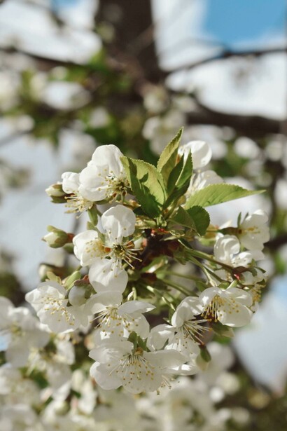 A pesar del dolor físico y las pérdidas irreparables, Teresa encontró dentro de sí una fortaleza que nunca imaginó tener