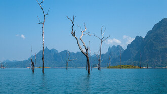 No hay viaje interplanetario más próximo que una mirada interior, dice el poeta. Árboles que se elevan sobre el lago Cheow Lan, cielo celeste , verano eterno en Surat Thani, Tailandia