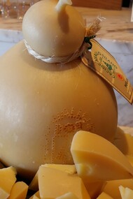 La produzione del caciocavallo in Puglia segue antiche tradizioni, utilizzando latte vaccino fresco proveniente da allevamenti locali