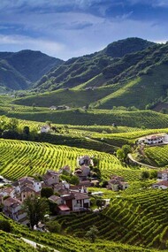 Le Colline del Prosecco, Patrimonio Mondiale dell'Umanità