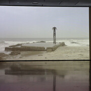 Jojo Gronostay, The elephants, ausstellungsansicht. Mit freundlicher genehmigung der Neuen Galerie Graz