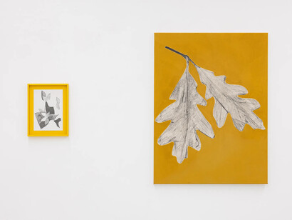 Frauke Dannert, Doppelgänger, exhibition view. Courtesy of Galerie Kandlhofer