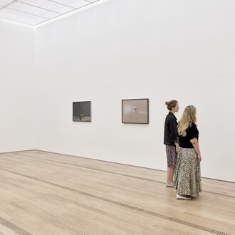 Vija Celmins, ausstellungsansicht. Mit freundlicher genehmigung der Fondation Beyeler