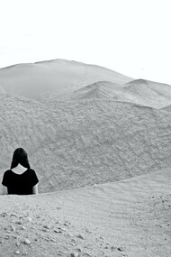 Trajetórias humanas