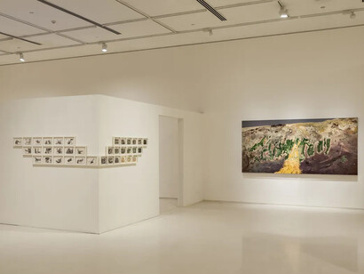 Vishal Kumar Gupta, Field notes (On the afterlife of trees), exhibition view. Courtesy of Emami Art