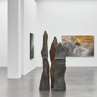 Carolina Aguirre, Body takes, exhibition view. Courtesy of Ruttkowski;68