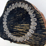 Nature's Alchemy. Courtesy of bo.lee gallery