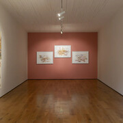 Carmen Neely, un vestigio más allá de la vida del cuerpo, vista de exhibición. Cortesía de Galería Mariane Ibrahim  