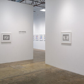 Alexa Brooks, Patterns of catastrophe, exhibition view. Courtesy of Erin Cluley Gallery