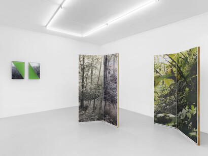 Various artists, ≈ 530 nanomètres, exhibition view. Courtesy of Irène Laub 