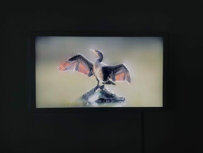 Marjan Laaper, Loss, hope and wonder, exhibition view. Courtesy of NL=US Art