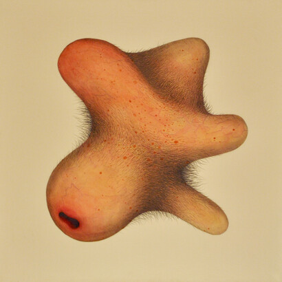 Simone Racheli, L'incerto, 2013 acquerello, grafite su carta intelata cm 45 x 45