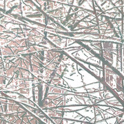 Luca Pancrazzi, Urbs ex arboribus. Per gentile concessione di Marcorossi artecontemporanea