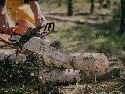 A man using a chainsaw to cut down trees in a deforested area