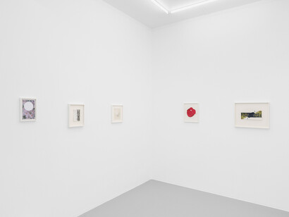 Guðný Rósa Ingimarsdóttir, Fingers in a red state but not yet bleeding, exhibition view. Courtesy of Irène Laub 