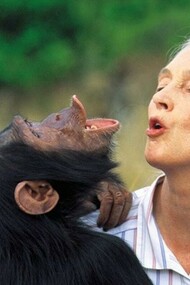 Jane Goodall, one of the most prestigious and well-known women around the world for her research 