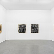 William Tucker, Charcoal Drawings, Installation view. Buchmann Galerie, 2017. 