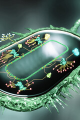 Synthetic bio cell
