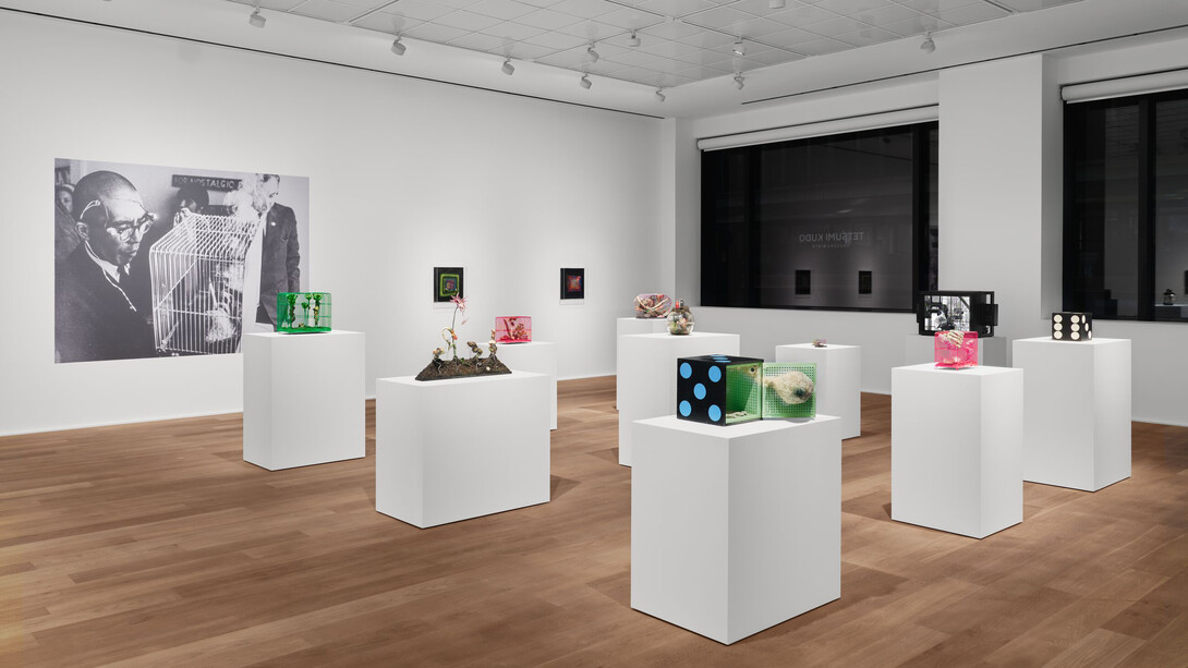 Tetsumi Kudo, Microcosms, exhibition view. Courtesy of Hauser & Wirth Gallery