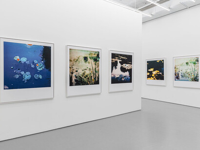 François Halard, Conversation with Claude, exhibition view. Courtesy of Ruttkowski;68 