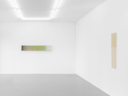 Fernanda Fragateiro, She always starts by planting a tree, exhibition view. Courtesy of Irène Laub