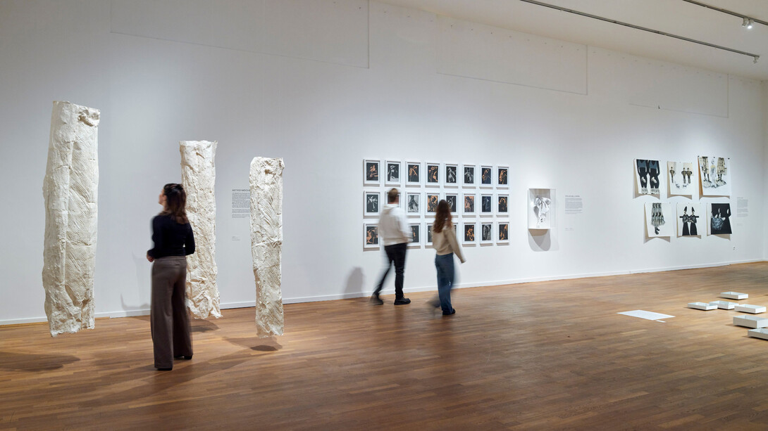 Various artists, Arts · women · network – 100 years of Gedok, exhibition view. Courtesy of Museum für Kunst und Gewerbe Hamburg