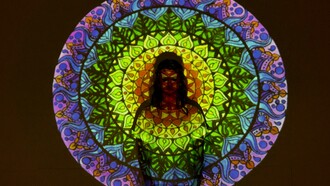 Tudo que é Divino, usado para a grandeza do que está na Terra, expande-se, o Reiki, então, chegou ao Ocidente pelas mãos da havaiana Hawayo Takata, que após restabelecer a saúde com a terapia, decidiu aprender para divulgá-la. Ela estudou por dois anos no Japão para transmitir o conhecimento e semear o método de cura que tanto a ajudou. Hawayo Takata fundou a American International Reiki Association