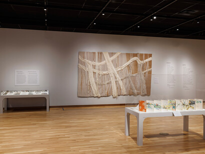 Nancy Hemenway Barton, Confluence of nature, exhibition view. Courtesy of Denver Art Museum 