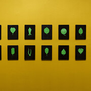 Yto Barrada, Leaf forms puzzle, vue d‘installation Kunsthalle Bielefeld, 2023. Avec l’aimable autorisation de l’artiste et de la galerie Sfeir-Semler, Beyrouth/Hambourg, © Yto Barrada