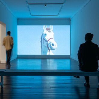 Carlos Alfonso, Shapes of visions that fly at night, exhibition view. Courtesy of Casas Riegner