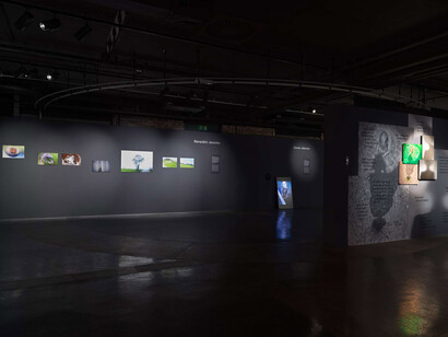 Temporary address, exhibition view. Courtesy of Jakopič Gallery