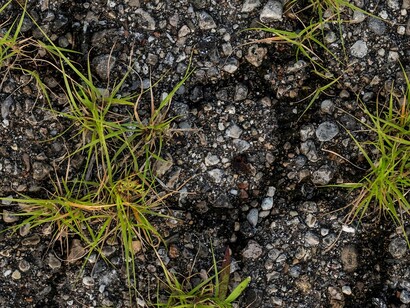 Nella terra dei fuochi, il fuoco non è solo quello che brucia i rifiuti nascosti sotto terra, ma anche quello della rabbia e della speranza di chi non si arrende
