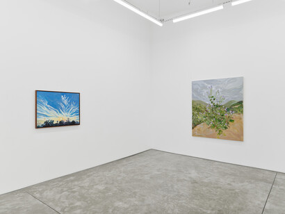 Mira Dancy, Mourning's orbit, exhibition view. Courtesy of Night Gallery