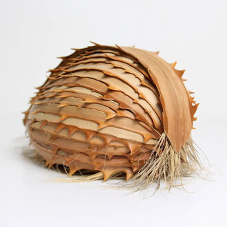 Lélia Demoisy, Possibilité n° 11, 2024. Avec l'aimable autorisation de la Galerie By Lara Sedbon