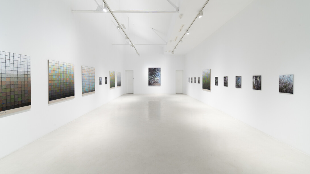 Stijn Cole, El tiempo suspendido, vista de exhibición. Cortesía de la Galería Hilario Galguera 