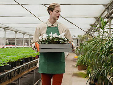 A farmer inspects his crops, reflecting the challenges of agriculture’s contribution to greenhouse gas emissions