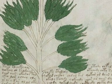 Página do Manuscrito de Voynich. Estatísticas linguísticas revelam padrões similares aos das línguas naturais, com frequência de palavras e combinações que lembram idiomas estruturados