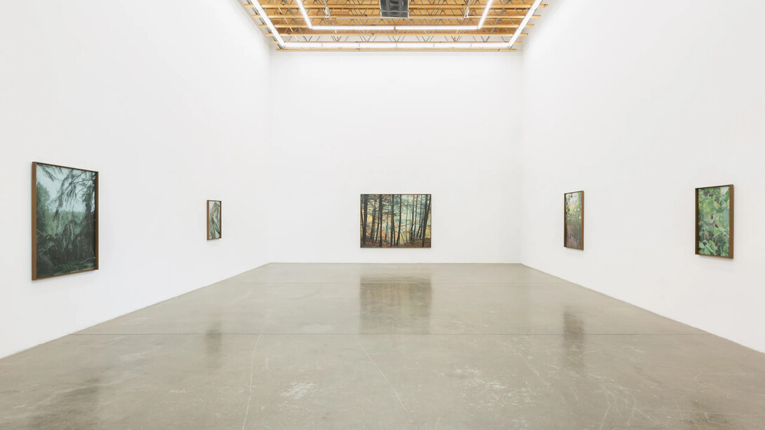 Benjamin Langford, Scenes and images, exhibition view. Courtesy of Ochi Gallery