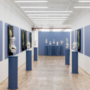 Susan Hamburger, Near enemies, exhibition view. Courtesy of Asya Geisberg Gallery