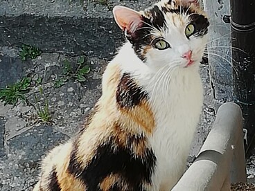 La piccola Arlecchina, abitante del borgo di Sipicciano (frazione di Graffignano), Viterbo, Italia. Foto di Antonio Arévalo