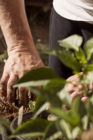 Il panfluencer è colui che ha il compito di diffondere il panismo, quella simbiosi perfetta tra uomo e natura