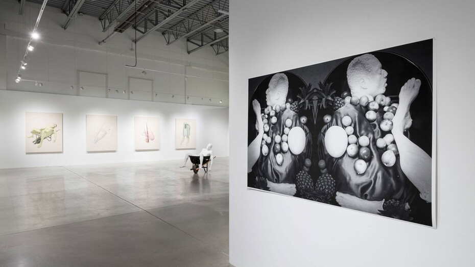 Stanley Février, Terre des fissures, exhibition view. Courtesy of Blouin Division