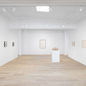 Lynn Hershman Leeson, Deep fake, exhibition view. Courtesy of Hoffman Donahue Gallery