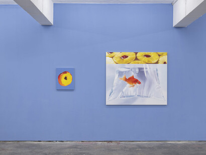 Bex Massey, The ágalma, exhibition view. Courtesy of Seventeen Gallery